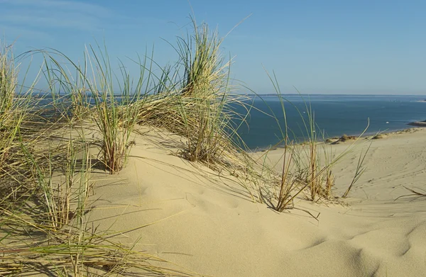 Dune du Pyla — Zdjęcie stockowe