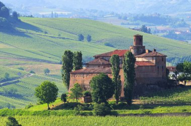 Barolo Castello di La Volta 