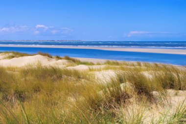 Langeoog Dune ve sandy beach