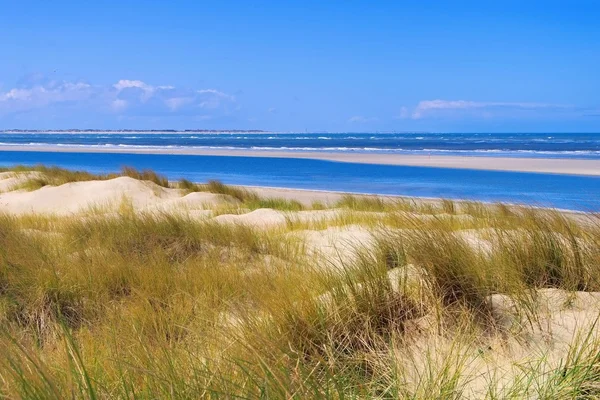 Langeoog Dune and sandy beach — Stock Photo, Image