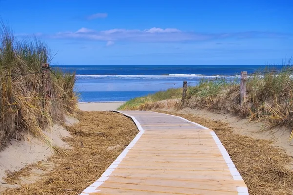 Langeoog wydmy i toru — Zdjęcie stockowe