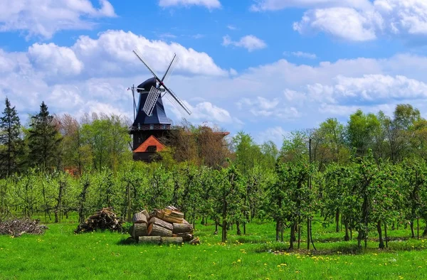 Molino de viento en Westeraccum, Alemania —  Fotos de Stock