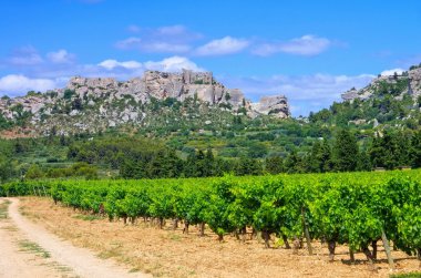 üzüm bağları Les Baux-de-Provence