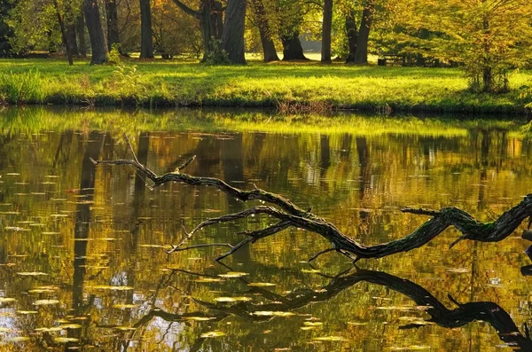 Terrenos ingleses del lago Woerlitz — Foto de Stock