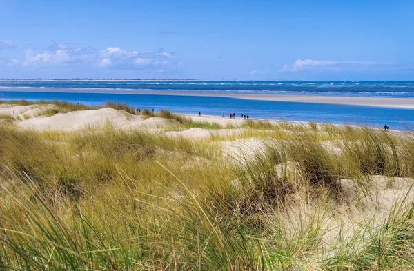 Αεροδρόμιο: Langeoog Dune στην ακτή — Φωτογραφία Αρχείου