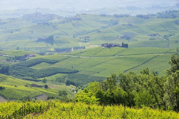 Langhe vineards en dorpen — Stockfoto