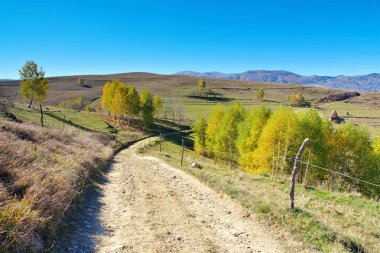 Romanya Karpatları 'nda sonbahar manzarası, Transilvanya' da Apuseni