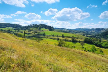 Romanya 'nın Sighisoara kenti yakınlarındaki Transilvanya' da tipik manzara
