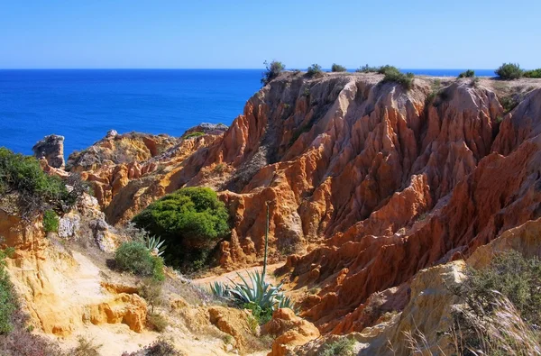 Algarve beach marinha — Stok fotoğraf