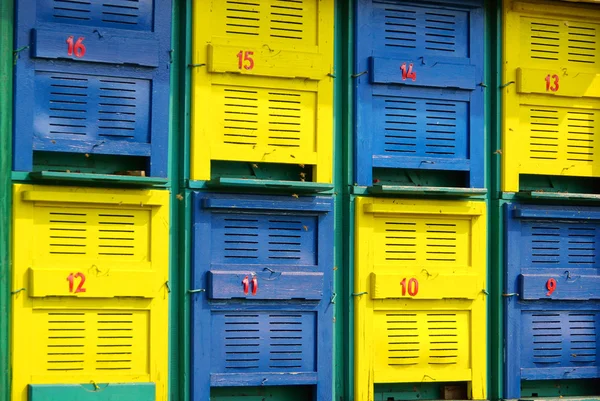 Colmeias de abelhas coloridas — Fotografia de Stock