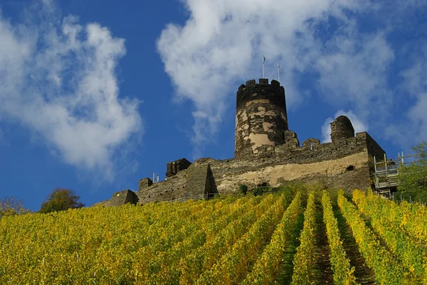The castle Fuerstenberg — Stock Photo, Image