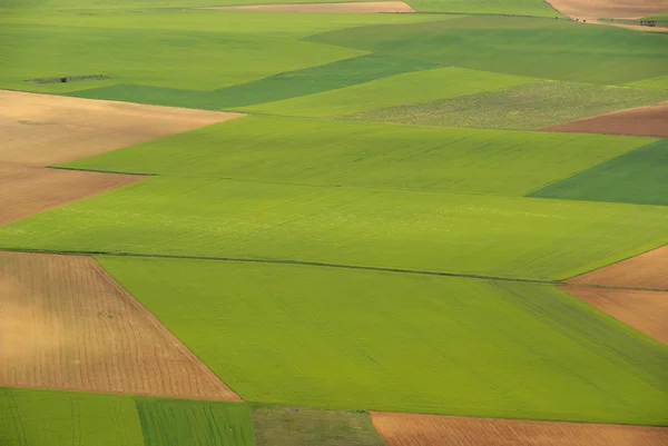 Gormaz, campo verde — Fotografia de Stock