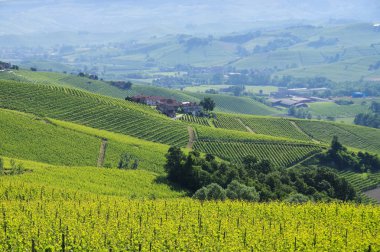 Langhe vineards ve köyleri