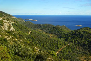 Hırvatistan Mljet sahil
