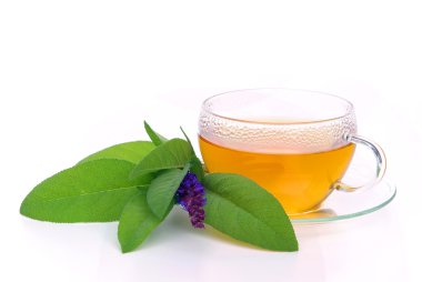 bitkisel çay adaçayı