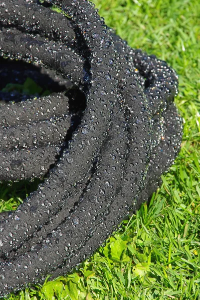 A watering hose — Stock Photo, Image