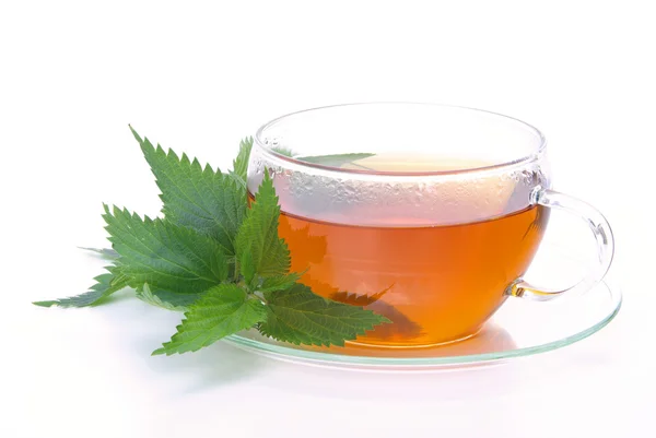 Herbal tea nettle — Stock Photo, Image