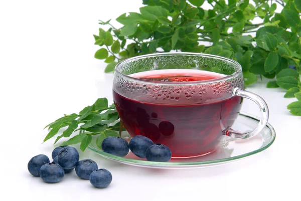 Herbal blueberry tea — Stock Photo, Image