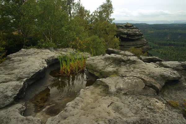 Zschirnstein berg vijver — Stockfoto