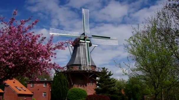 Windmill in Leezdorf — Stock Video