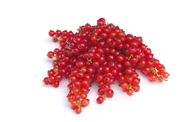 Red fresh currant — Stock Photo, Image