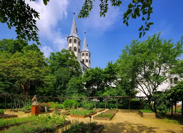 Гослар церква Neuwerkkirche — стокове фото