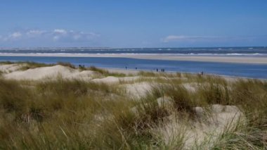 Langeoog dune ve plaj