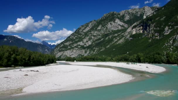 Tagliamento riverin Alpy — Stock video