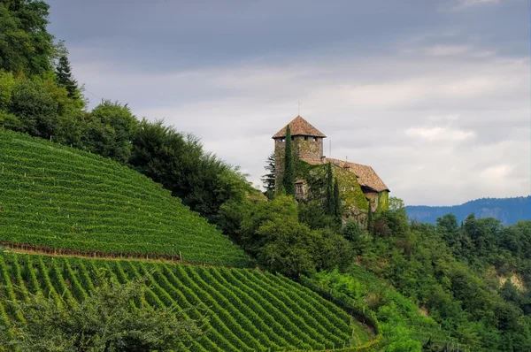 Castillo Warth en Alto Adigio — Foto de Stock