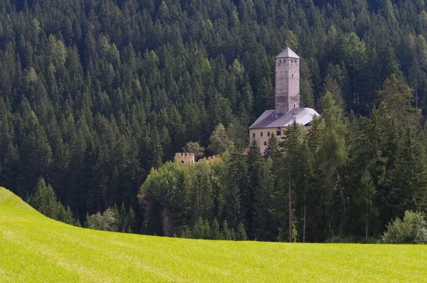 The castle Welsberg — Stock Photo, Image