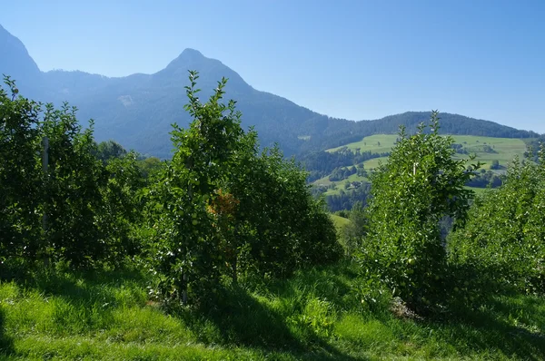 Vale do Eisack em Alpes — Fotografia de Stock