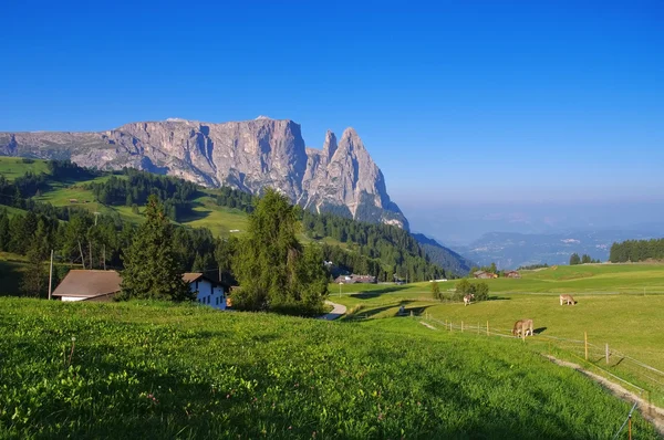 Montaña Schlern en Alto Adige — Foto de Stock