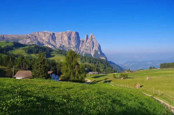 Mountain Schlern in Alto Adige — Stock Photo, Image