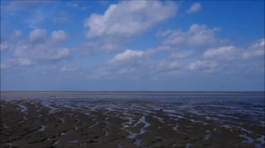 Mudflat East Frisia içinde