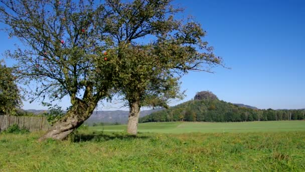 Zirkelstein im Elbsandsteingebirge — Stockvideo