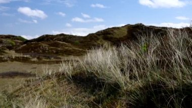 ada Langeoog Pirola Vadisi