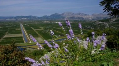 Neretva delta Hırvatistan