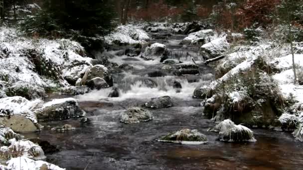 Wasserfall-Fluss Bode im Winter — Stockvideo