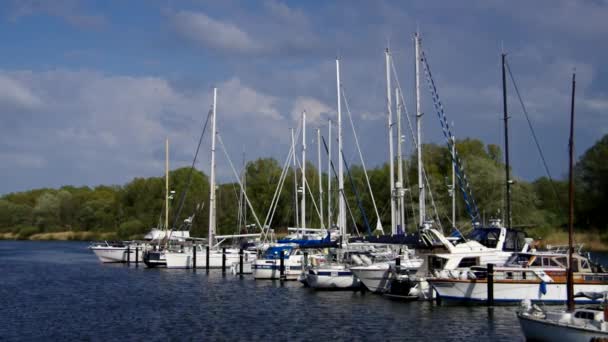 Hooksiel marina — Stockvideo