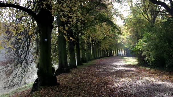 avenue des tilleuls 