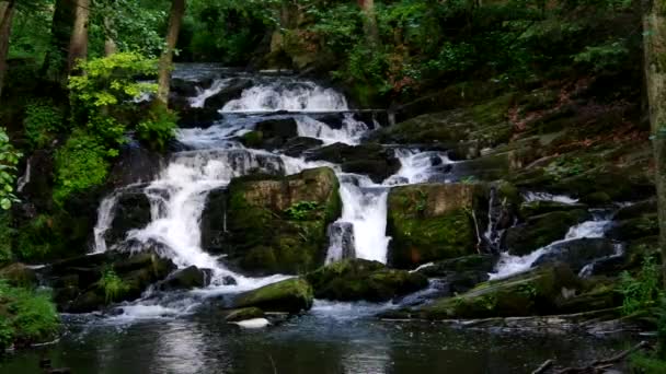 Vodopád řeka Selke — Stock video