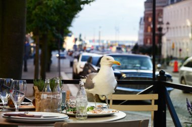 kum heykel Festivali