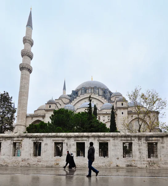 Istanbul, Türkiye - 23 Kasım 2014: Süleymaniye Camii üçüncü Istanbul Hill,'üzerinde yer alan bir Osmanlı imparatorluk Camiidir