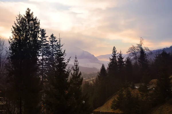 Carpathians, Ukraine - March 2, 2015: Morning in the Carpathians — Stock Photo, Image