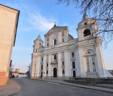 Lutsk, Ukrayna - 10 Mart 2015: Aziz Peter ve Paul Katedrali, şehrin eski kesiminde yer alan görünümünü
