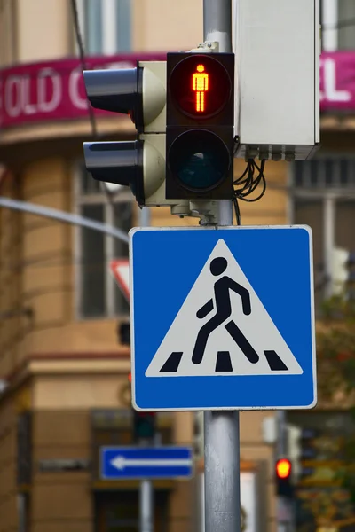 Lviv, Oekraïne - 5 augustus, 2015: stoplicht en voetgangers teken op de straat van Lviv — Stockfoto