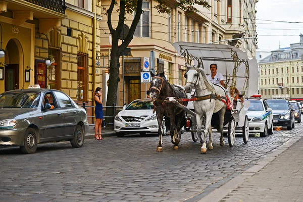Lviv, Ucrania - 5 de agosto de 2015: Paisaje urbano de Lviv. Equipo de carreras de caballos en la calle principal de Lviv — Foto de Stock