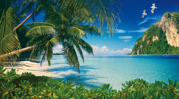 Avuç içi ile tropikal defne