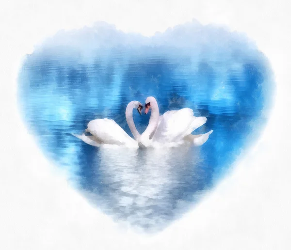 Cisnes graciosos no amor aquarela pintura — Fotografia de Stock