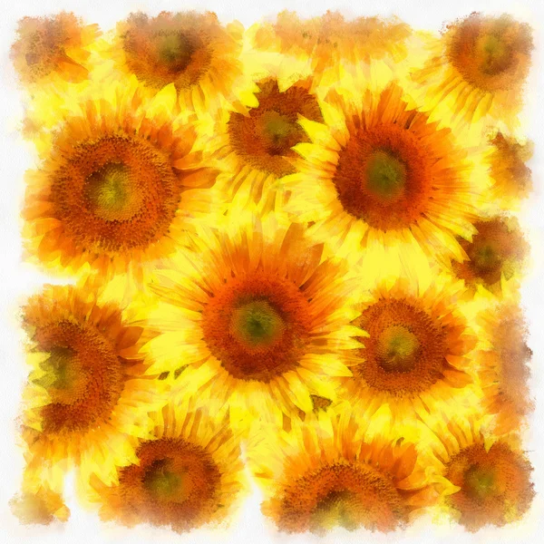 Girasoles acuarela fondo decorativo — Foto de Stock